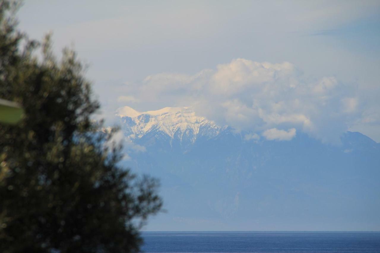Marina's Nea Moudania
